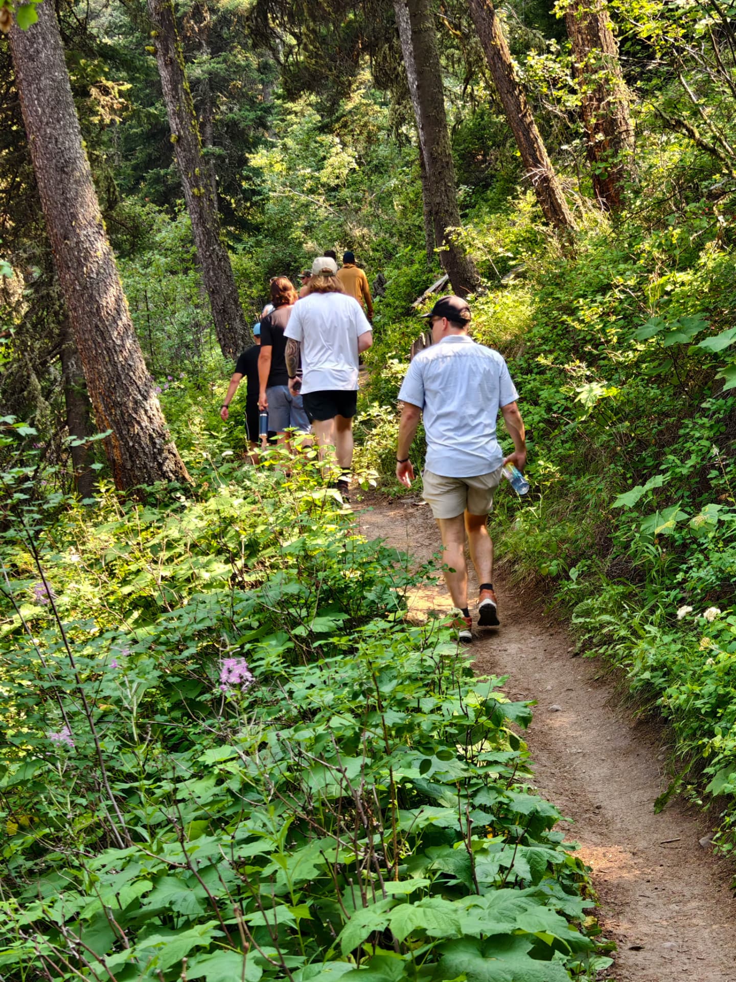 The Trailblazer Hike